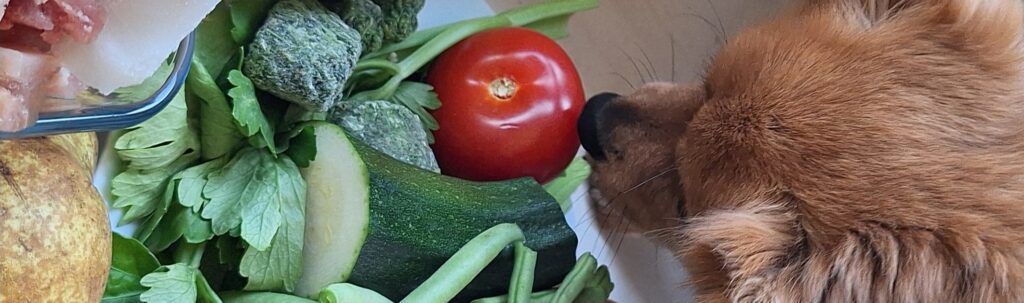 Vers bereide voeding