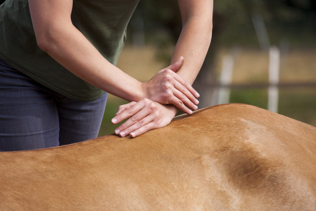 Chiropractische behandeling