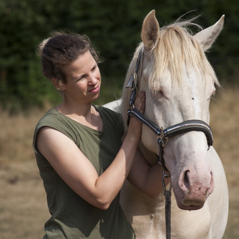 Chiropractie bij een paard